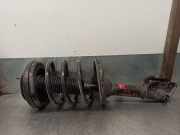 Stoßdämpfer Links Vorne 546502B200 Hyundai Santa Fe II (CM) SUV 2.2 CRDi 16V 4x2 (D4EB)