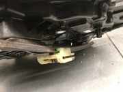 Gaspedal 8200002904 Renault II (BG0) 2.0