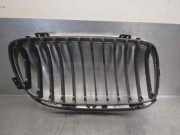 Grill 51712151895 BMW 3 serie (E90) Limousine 320d 16V (N47-D20C)