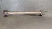 Querlenker Links Hinten Oben 551201MA0D Infiniti 50 D
