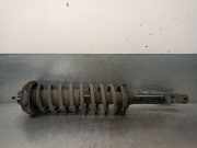 Sto?d?mpfer Rechts Hinten RPD108460 Rover 45 Schr?gheck 5-drs 2.0 V6 24V Sterling (20K4F)