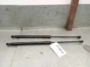 Gasdruckfedern Set Hinten 904508213R Renault V (B7_) 1.6 E-TECH 140 (B7MU)