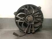 Kühlerventilator 1253A4 Citroën Xsara (N1) Schrägheck 2.0 HDi 90 (DW10TD(RHY))