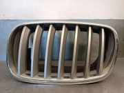Grill 51137171395 BMW (E71, E72) xDrive 35 d