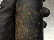 Motorhaube 651007F030 Nissan Terrano II (R20/TR50) Geländewagen 2.7 TDi (TD27TI)