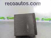 Klima Verdampfer H2605002 Skoda Fabia II (5J) Schrägheck 5-drs 1.9 TDi (BLS)