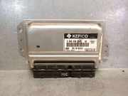 MotorsteuergerÃ¤t 3911002421 Hyundai Getz SchrÃ¤gheck 1.1i 12V (G4HD)