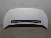 Motorhaube 7901N1 Citroën Jumpy (G9) Van 2.0 HDI 120 16V (DW10UTED4(RHK))