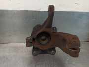Achsschenkel Halter Links Vorne 1010250 Ford Fiesta 4 SchrÃ¤gheck 1.8 D (RTJ)