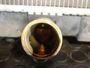 Radiator 1770062J00 Suzuki Swift (ZA/ZC/ZD1/2/3/9) Schrägheck 1.3 VVT 16V (M13A VVT)