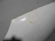 Motorhaube 1098820 Ford Fiesta 4 Schrägheck 1.8 Diesel Van 93 EEC (RTJ)