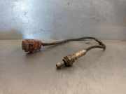 Lambdasonde 036906262F Seat Leon (1M1) Schrägheck 5-drs 1.6 16V (BCB)