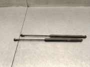 Gasdruckfedern Set Hinten 51778432 Fiat Grande Punto (199) Schrägheck 1.9 Multijet Sport (199.A.5000)