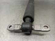 Sto?d?mpfer Rechts Hinten 9826243580 Citro?n CITRO?N BERLINGO *