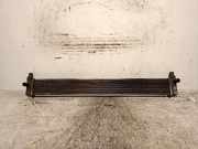 Radiator G901047031 Toyota Prius (ZVW3) Schr?gheck 1.8 16V (2ZRFXE)