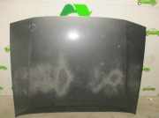 Motorhaube GRIS Renault (B48_) 2.1 D (B48V/B48O)