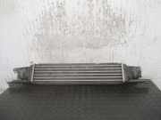 Ladeluftkühler 0051785221 Fiat Linea (323AX) Limousine 1.3 D Multijet 16V VGT (199.A.3000)