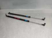 Gasdruckfeder Set Vorne 57251AJ000 Subaru Legacy Wagon (BR) Kombi 2.0 D 16V (EE20)