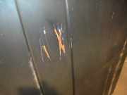 Lichtschalter 191941531K Volkswagen Jetta II (19E) Limousine 1.6 CL,LX (EZ) EZ