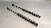 Gasdruckfedern Set Hinten 51247060622 BMW 1 serie (E87/87N) Schrägheck 5-drs 118d 16V (N47-D20A)