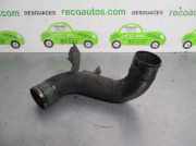 Handgriff Kofferraum 1Z0827574A Skoda Octavia (1Z3) Liftback 2.0 TDI PD 16V (BKD)