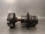 Lichtmaschine Riemenscheibe HCPB Ford Transit Connect Van 1.8 TDCi (HCPB)