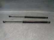 Gasdruckfedern Set Hinten 51785412 Fiat 500 (312) Schrägheck 0.9 TwinAir 85 (312.A.2000)