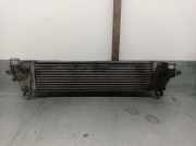 Ladeluftkühler 14461BB30A Nissan Qashqai (J10) SUV 2.0 dCi (M9R)