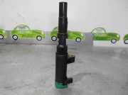 Zündspule 216031219 Renault II (BB_, CB_) 1.4 16V (B/CB0P, BB13)