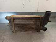 Ladeluftkühler 001307012080 Fiat DUCATO CAJA CERRADA (DESDE 03.94) 1.9 Turbodiesel
