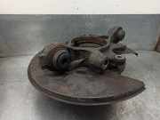 Achsschenkel Halter Rechts Hinten RLH500020 Land + Range Rover Discovery III (LAA/TAA) Geländewagen 2.7 TD V6 (276DT)