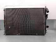 Radiator 8200062691 Renault I Coach (DA0/1_) 1.9 dCi (DA05, DA1F)