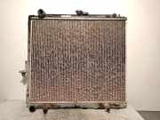 Radiator 21460EB30A Nissan (R51) 2.5 dCi Diesel CAT