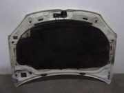 Motorhaube 1K0823031L Volkswagen Jetta III (1K2) Limousine 1.9 TDI (BXE) BXE