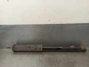 Stoßdämpfer Links Hinten A1693260800 Mercedes-Benz B (W245) Schrägheck 2.0 B-200 16V Turbo (M266.980)