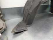 Innenkotflügel Rechts Vorne D65256130 Mazda 2 (DE) Schrägheck 1.3 16V S-VT (ZJ)