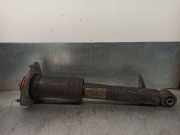 Stoßdämpfer Links Hinten 33526788511 BMW X6 (E71/E72) SUV xDrive40d 3.0 24V (N57-D30B)