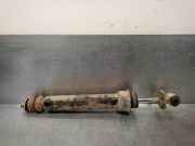 Stoßdämpfer Links Vorne 7702043265 Renault BERLINA/FAMILIAR/FURGONETA F6 Familiar (R 2370)