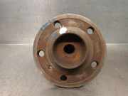 Achsschenkel Halter Rechts Hinten A1699810027 Mercedes-Benz B (W245) Schrägheck 2.0 B-200 16V (M266.960)