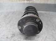 Zierleiste Radhausschale Rechts Vorne 7956306020 SsangYong (KJ) 2.9 TD