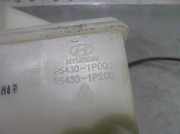 Ausgleichbehälter - - 254301P000 Hyundai iX20 (JC) SUV 1.6 CRDi 16V VGT (D4FB)