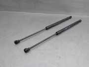 Gasdruckfedern Set Hinten 904507649R Renault Captur II (RJB) SUV 1.0 TCe 90 12V (H4D-470)