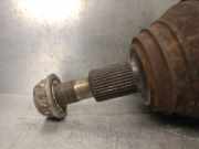 Hutablage 156055381 Alfa Romeo 147 (937) Schrägheck 1.6 Twin Spark 16V (AR37.203)