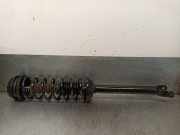 Stoßdämpfer Links Hinten 96FX18K076EC Ford IV (JA_, JB_) 1.4 i 16V
