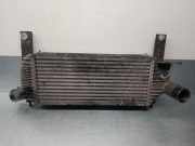 Ladeluftkühler 14461EB360 Nissan III (R51) 2.5 dCi 4WD
