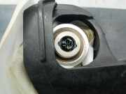 Tür Links Vorne 51883217 Fiat 500L (199) Großraumlimousine 1.3 D 16V Multijet Euro 5 (199.B.4000)