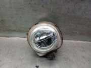 Nebelscheinwerfer Rechts Vorne 63177317252 BMW X4 (F26) SAC SUV xDrive20d 16V (B47-D20A)