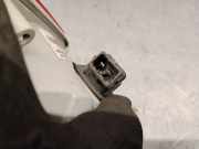 Nebelscheinwerfer Links Hinten 8200419906 Renault Kangoo Express (FW) Van 1.5 dCi 90 FAP (K9K-608(K9K-B6))