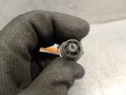 Tür Rechts Vorne 1365127080 Fiat Ducato (243/244/245) Van 2.0 JTD (RHV)