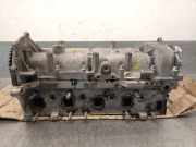 Zylinderkopf 55231550 Fiat Cargo (263_) 1.3 D Multijet